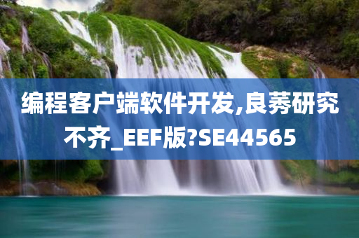 编程客户端软件开发,良莠研究不齐_EEF版?SE44565