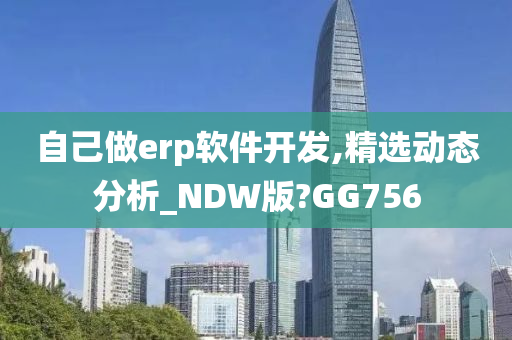 自己做erp软件开发,精选动态分析_NDW版?GG756