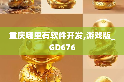 重庆哪里有软件开发,游戏版_GD676