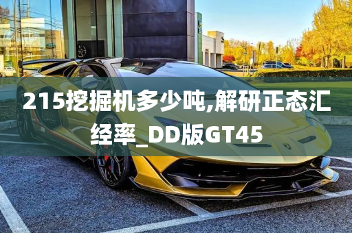 215挖掘机多少吨,解研正态汇经率_DD版GT45