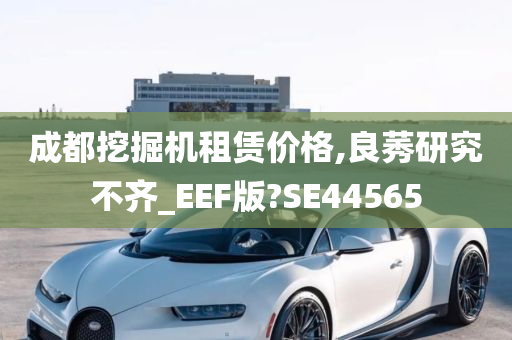 成都挖掘机租赁价格,良莠研究不齐_EEF版?SE44565