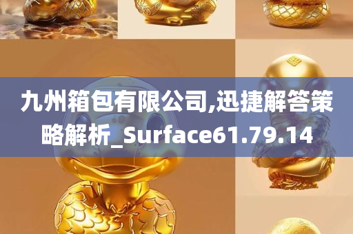 九州箱包有限公司,迅捷解答策略解析_Surface61.79.14