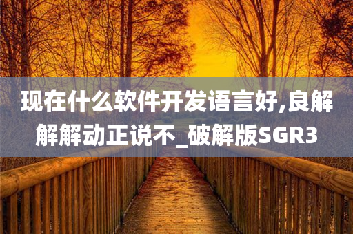 现在什么软件开发语言好,良解解解动正说不_破解版SGR3