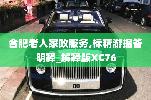 合肥老人家政服务,标精游据答明释_解释版XC76