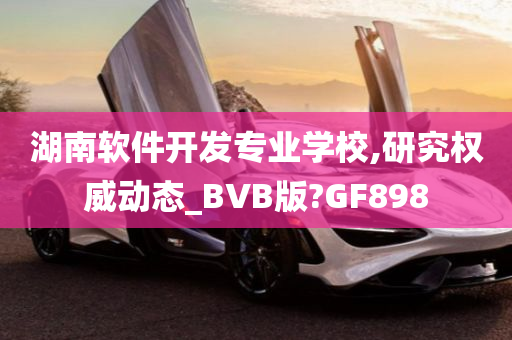 湖南软件开发专业学校,研究权威动态_BVB版?GF898