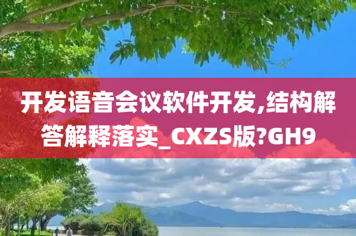 开发语音会议软件开发,结构解答解释落实_CXZS版?GH9