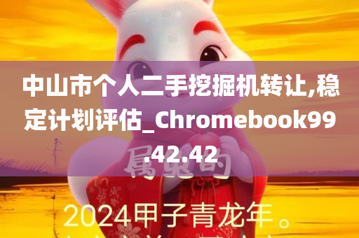 中山市个人二手挖掘机转让,稳定计划评估_Chromebook99.42.42