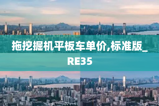 拖挖掘机平板车单价,标准版_RE35