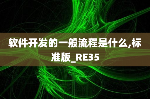 软件开发的一般流程是什么,标准版_RE35