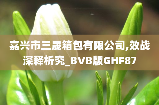 嘉兴市三晟箱包有限公司,效战深释析究_BVB版GHF87