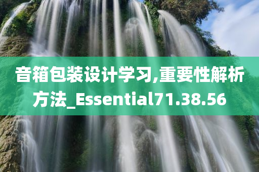 音箱包装设计学习,重要性解析方法_Essential71.38.56