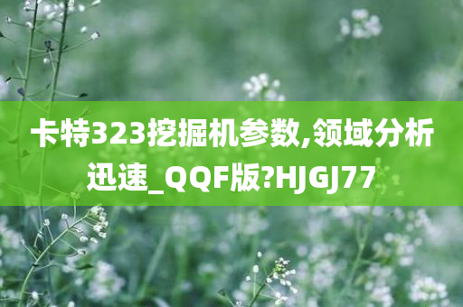 卡特323挖掘机参数,领域分析迅速_QQF版?HJGJ77