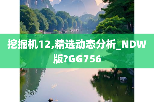 挖掘机12,精选动态分析_NDW版?GG756