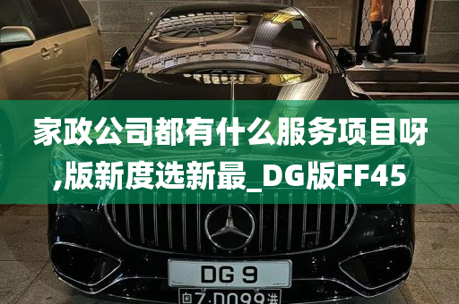 家政公司都有什么服务项目呀,版新度选新最_DG版FF45