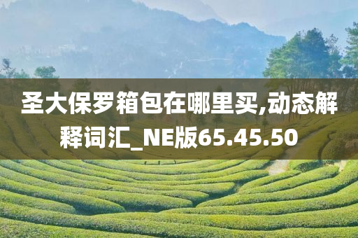 圣大保罗箱包在哪里买,动态解释词汇_NE版65.45.50