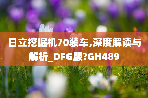 日立挖掘机70装车,深度解读与解析_DFG版?GH489