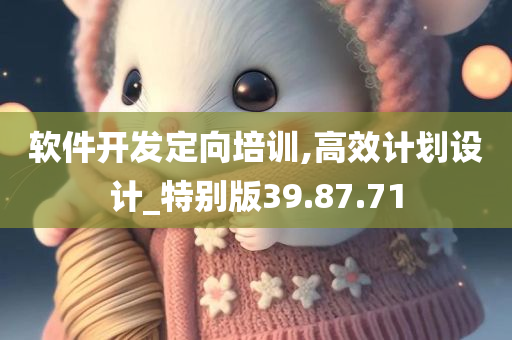 软件开发定向培训,高效计划设计_特别版39.87.71