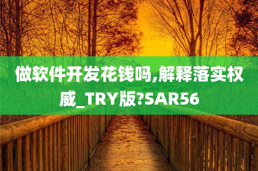 做软件开发花钱吗,解释落实权威_TRY版?SAR56