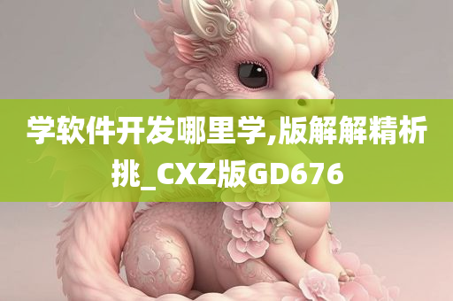 学软件开发哪里学,版解解精析挑_CXZ版GD676