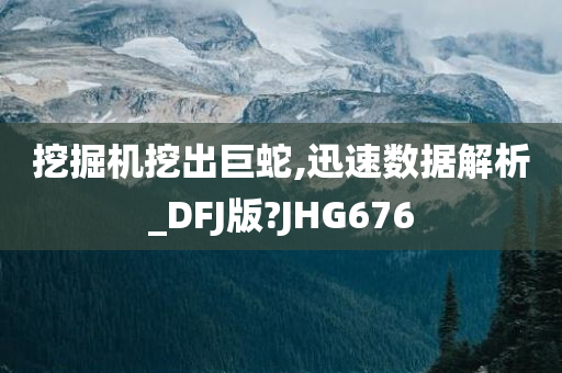 挖掘机挖出巨蛇,迅速数据解析_DFJ版?JHG676