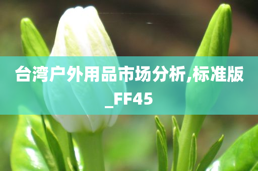 台湾户外用品市场分析,标准版_FF45