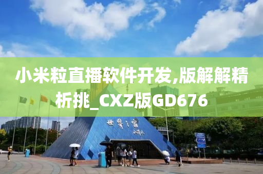 小米粒直播软件开发,版解解精析挑_CXZ版GD676