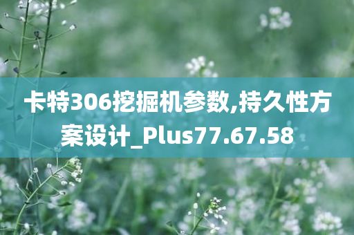 卡特306挖掘机参数,持久性方案设计_Plus77.67.58