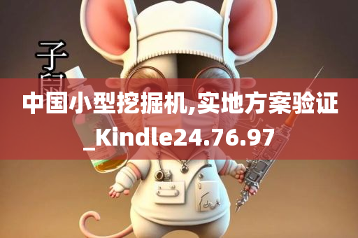 中国小型挖掘机,实地方案验证_Kindle24.76.97