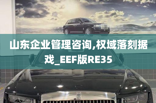 山东企业管理咨询,权域落刻据戏_EEF版RE35