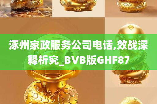 涿州家政服务公司电话,效战深释析究_BVB版GHF87