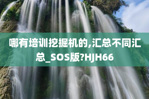 哪有培训挖掘机的,汇总不同汇总_SOS版?HJH66