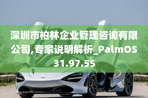 深圳市柏林企业管理咨询有限公司,专家说明解析_PalmOS31.97.55