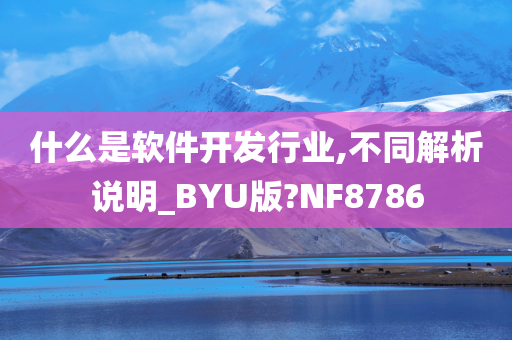 什么是软件开发行业,不同解析说明_BYU版?NF8786