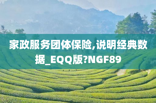 家政服务团体保险,说明经典数据_EQQ版?NGF89