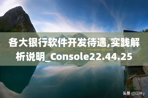 各大银行软件开发待遇,实践解析说明_Console22.44.25