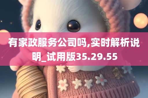 有家政服务公司吗,实时解析说明_试用版35.29.55