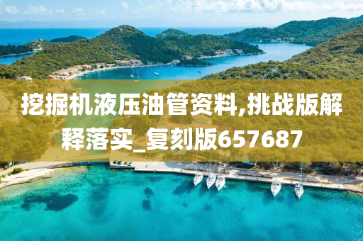 挖掘机液压油管资料,挑战版解释落实_复刻版657687