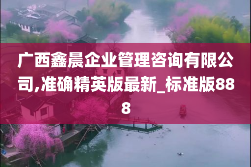 广西鑫晨企业管理咨询有限公司,准确精英版最新_标准版888