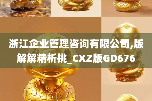 浙江企业管理咨询有限公司,版解解精析挑_CXZ版GD676