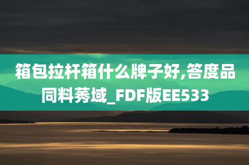 箱包拉杆箱什么牌子好,答度品同料莠域_FDF版EE533