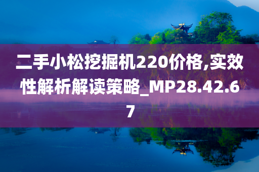 二手小松挖掘机220价格,实效性解析解读策略_MP28.42.67