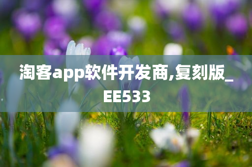 淘客app软件开发商,复刻版_EE533