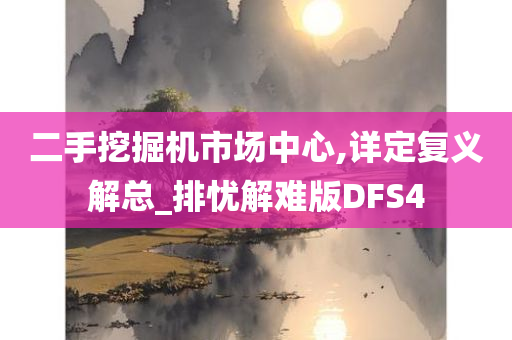 二手挖掘机市场中心,详定复义解总_排忧解难版DFS4