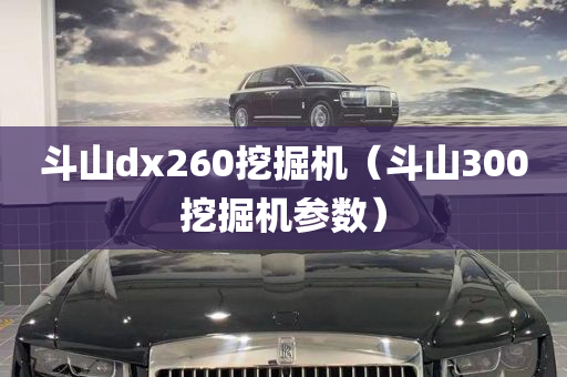 斗山dx260挖掘机（斗山300挖掘机参数）