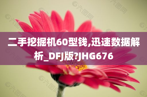 二手挖掘机60型钱,迅速数据解析_DFJ版?JHG676