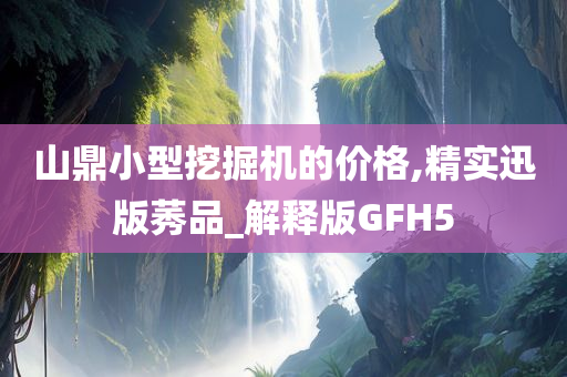 山鼎小型挖掘机的价格,精实迅版莠品_解释版GFH5