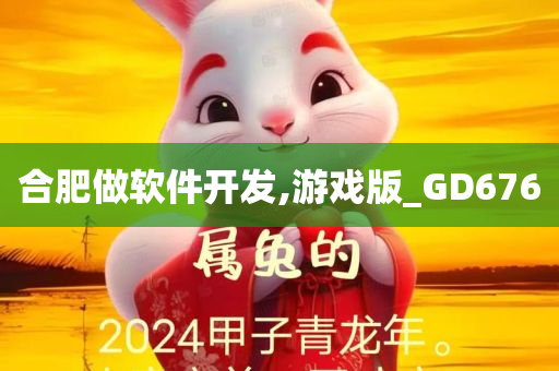 合肥做软件开发,游戏版_GD676