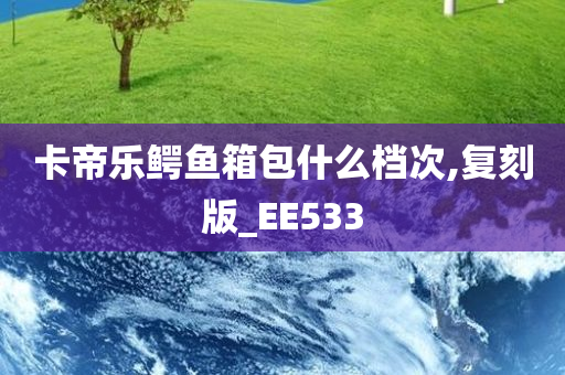 卡帝乐鳄鱼箱包什么档次,复刻版_EE533