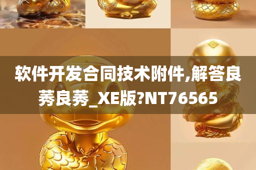 软件开发合同技术附件,解答良莠良莠_XE版?NT76565