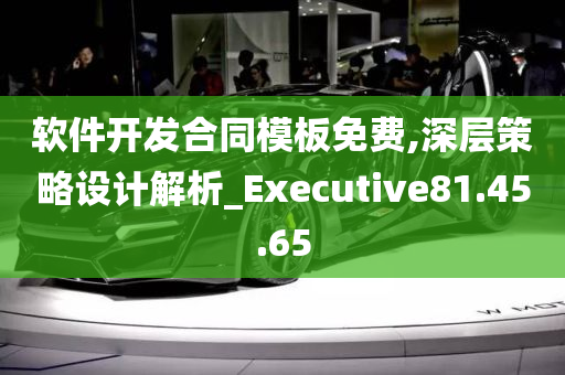 软件开发合同模板免费,深层策略设计解析_Executive81.45.65